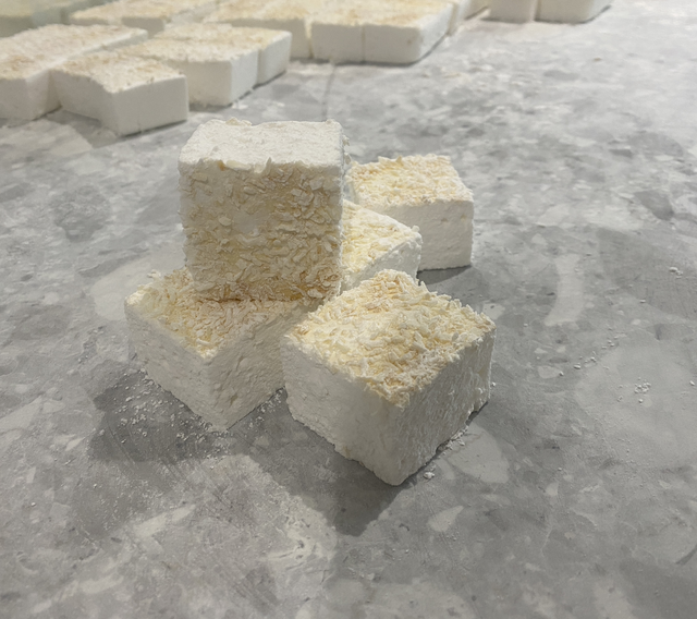 Toasted Coconut Marshmallows